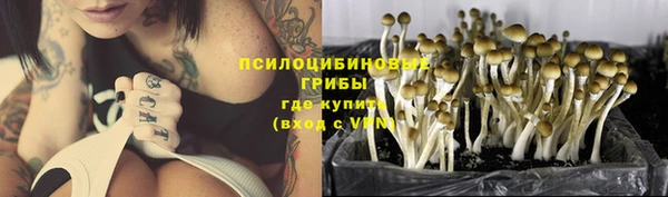 сатива Алексин