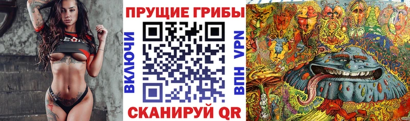 МЕГА онион  Москва  Галлюциногенные грибы Magic Shrooms  как найти наркотики 
